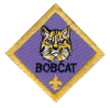 Bobcat