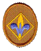 Webelos (oval)